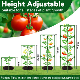 ZeeDix open-weave tomato cage guiding climbing plants for tomatoes and cucumbers.