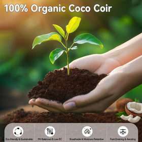 Expanded ZeeDix coco coir pellets absorbing water