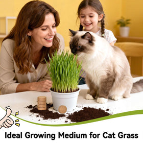 ZeeDix coconut coir substrate suitable for reptiles and amphibians