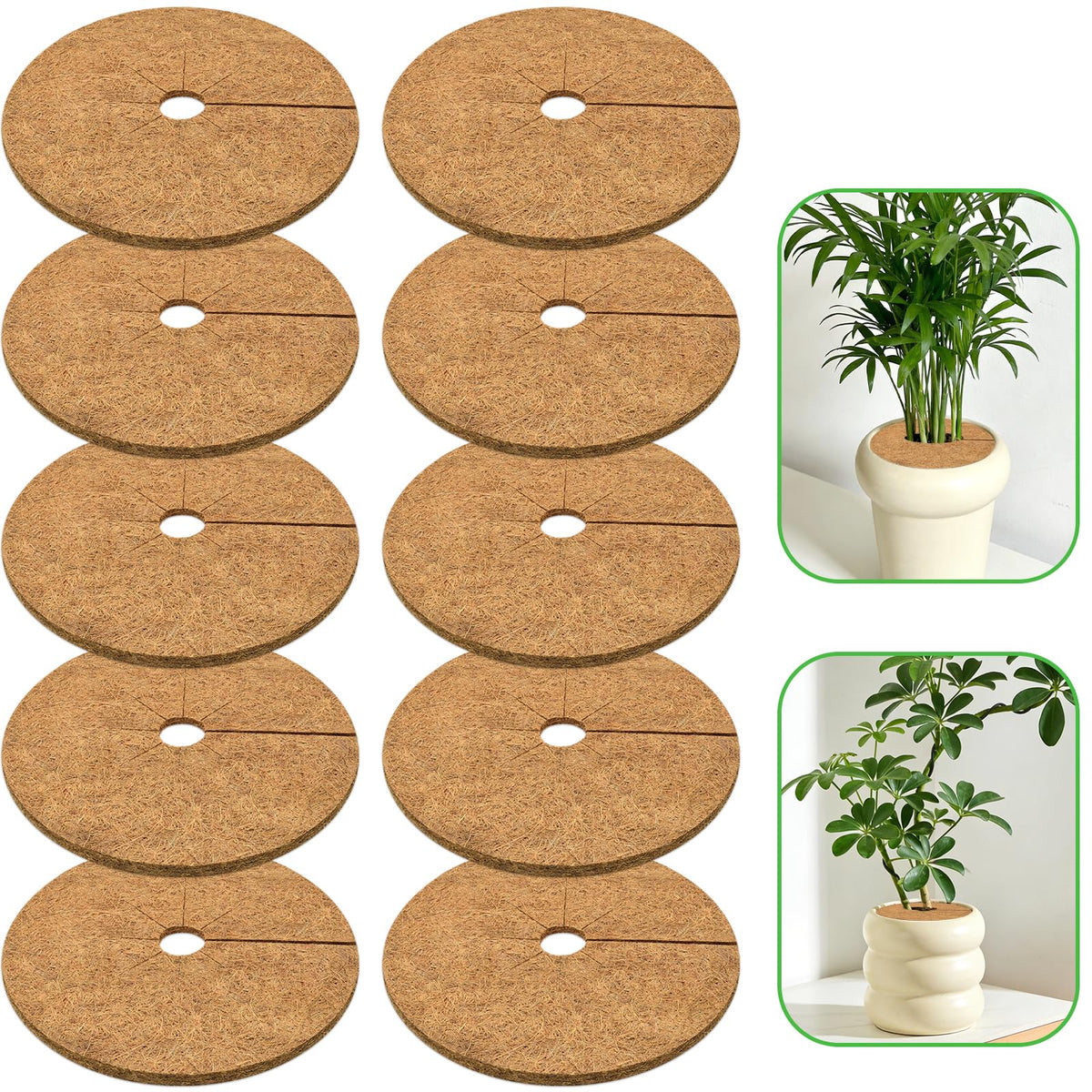 ZeeDix coconut fiber mulch ring on a pot improves soil moisture