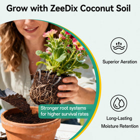 ZeeDix breathable coir substrate enhances drainage and aeration for roots