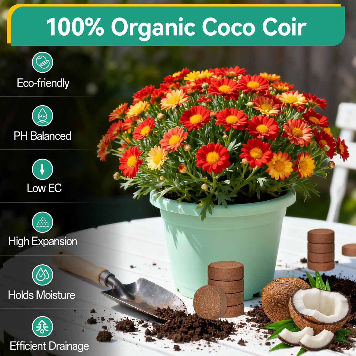 ZeeDix 100-piece coco coir pellets packaging shown for indoor gardening