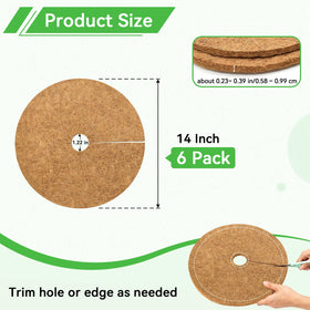 ZeeDix coir tree ring provides aeration and moisture retention for healthy root growth