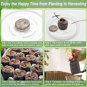 ZeeDix compact peat pellet with net ready for garden transplant.