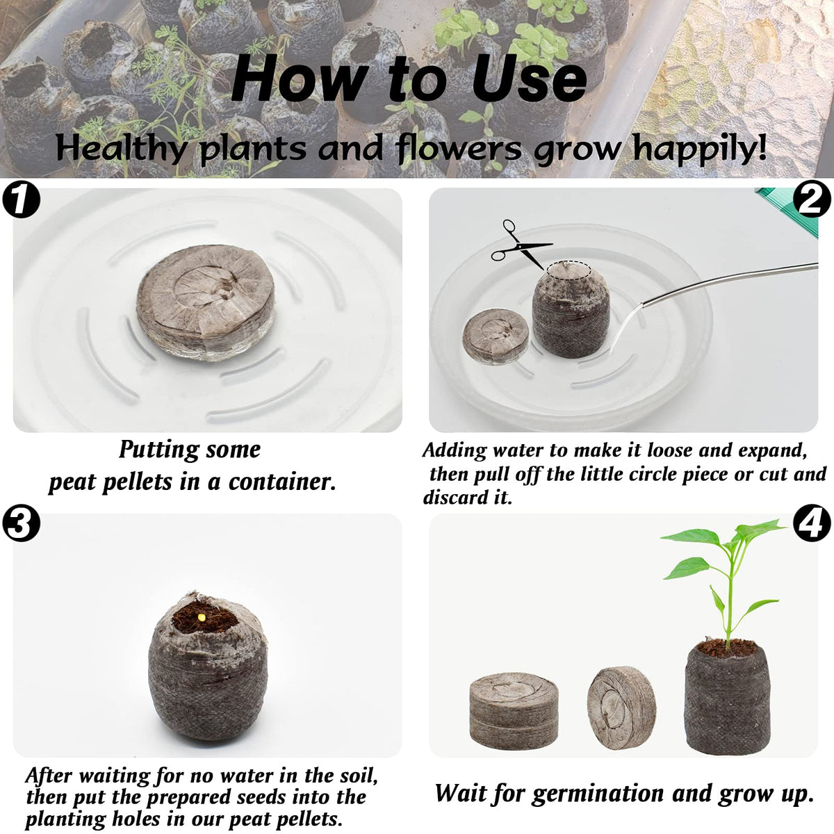 ZeeDix pellets expand with water to a moist growing medium