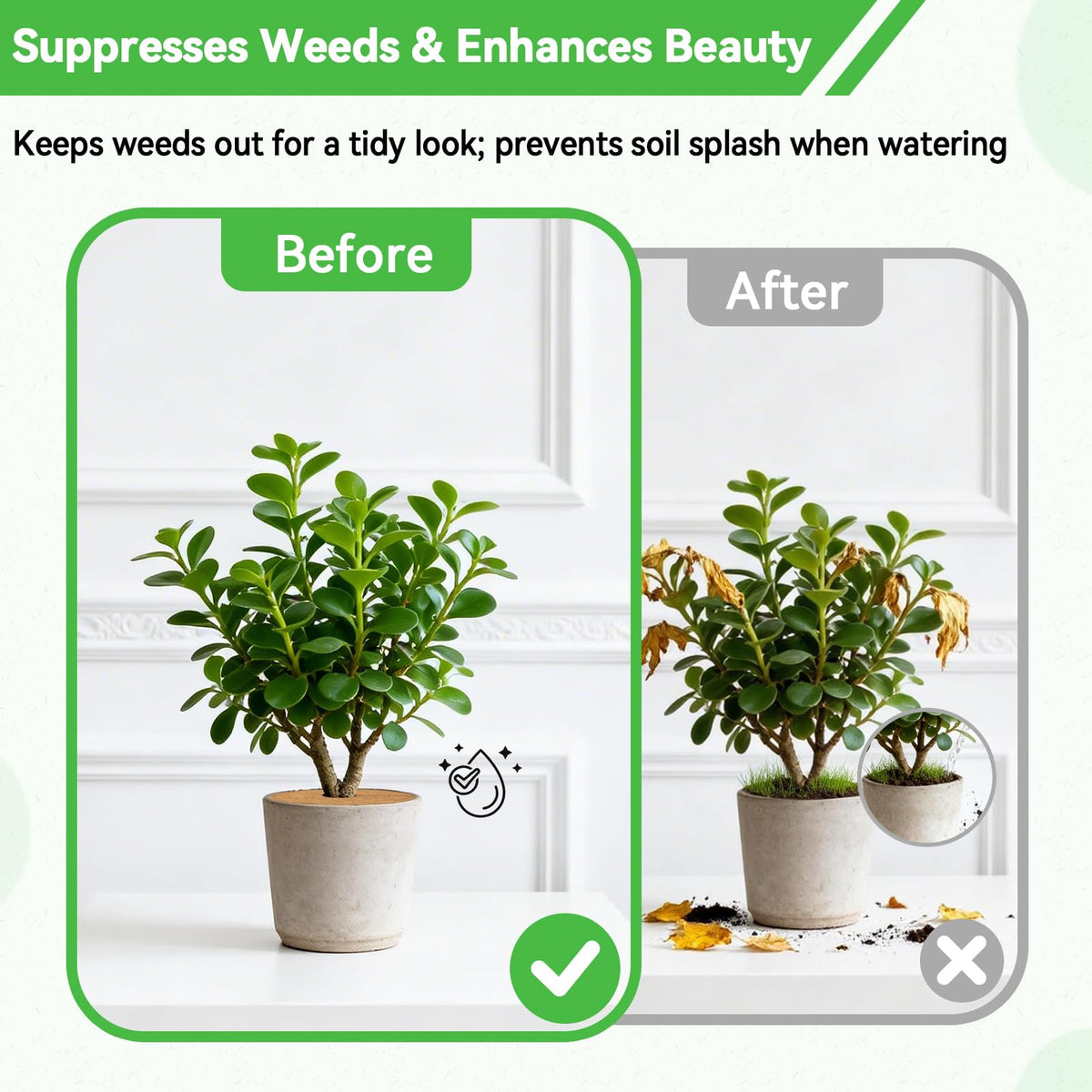 ZeeDix tree ring helps prevent soil splash when watering