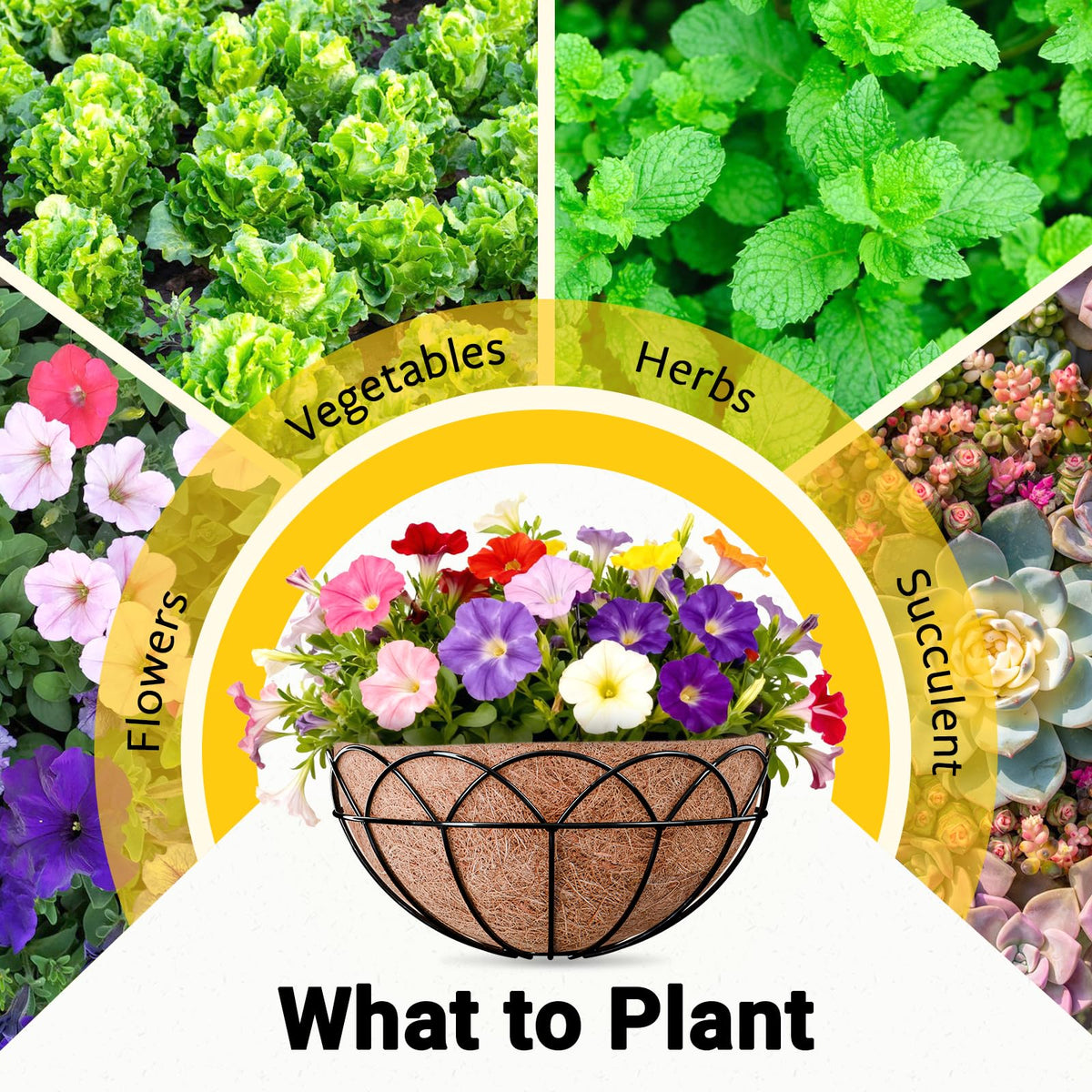 ZeeDix easy setup: moisten liner, insert into basket, add soil, and plant.