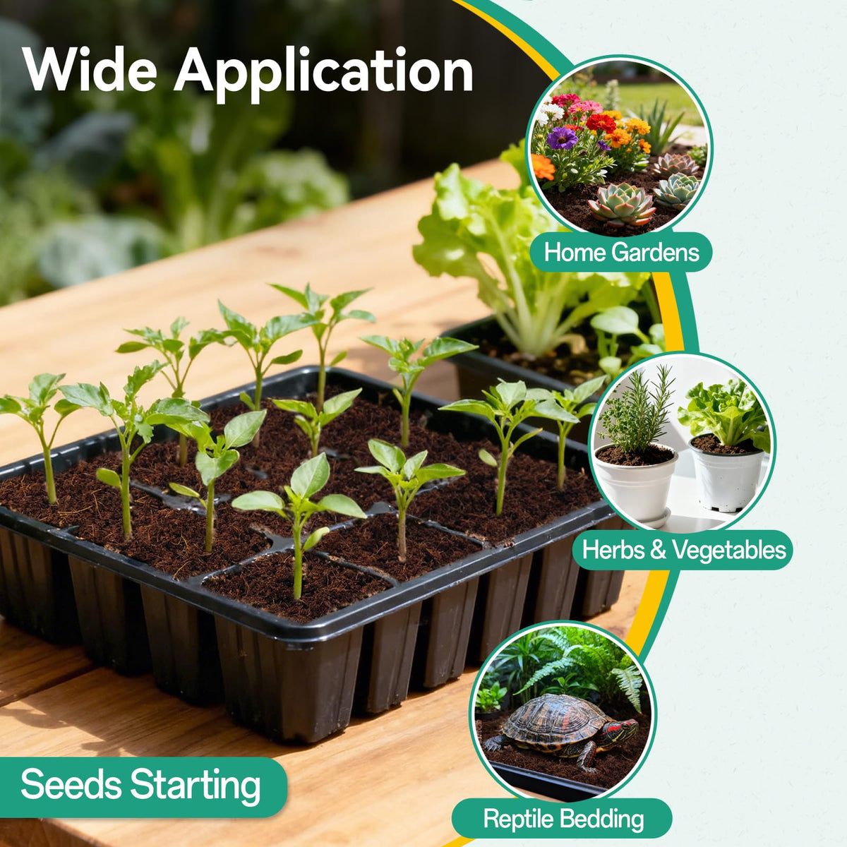 Easy-to-use ZeeDix pellets expanding in a container for planting