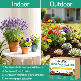 Herbs and vegetables thriving with ZeeDix coco coir soil