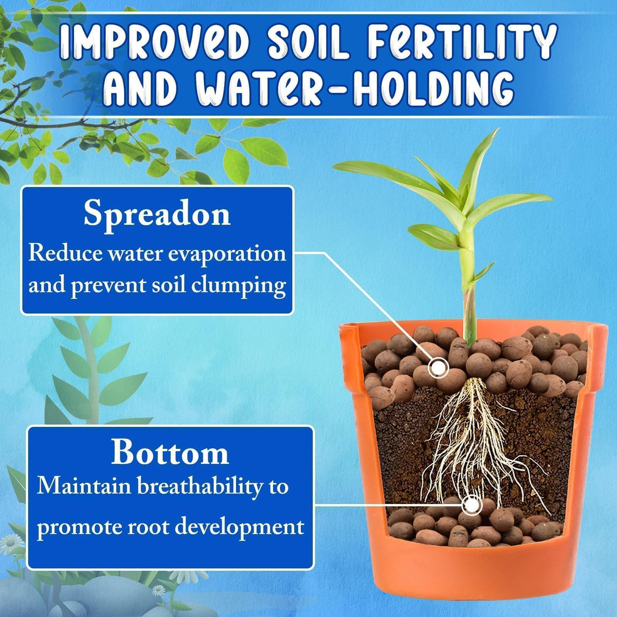 ZeeDix hydroponics anchor-stability demonstrates firm plant support in soilless systems.
