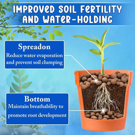 ZeeDix hydroponics anchor-stability demonstrates firm plant support in soilless systems.