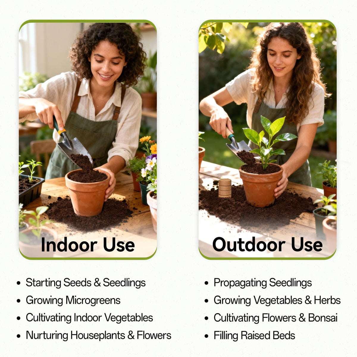 Indoor garden setup using ZeeDix coco coir seed starter pellets