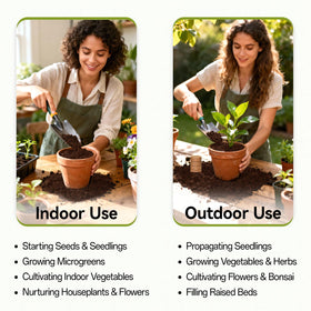 Indoor garden setup using ZeeDix coco coir seed starter pellets