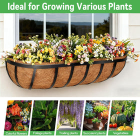 Indoor greenery: ideal for kitchen windowsills with balanced moisture and airflow.