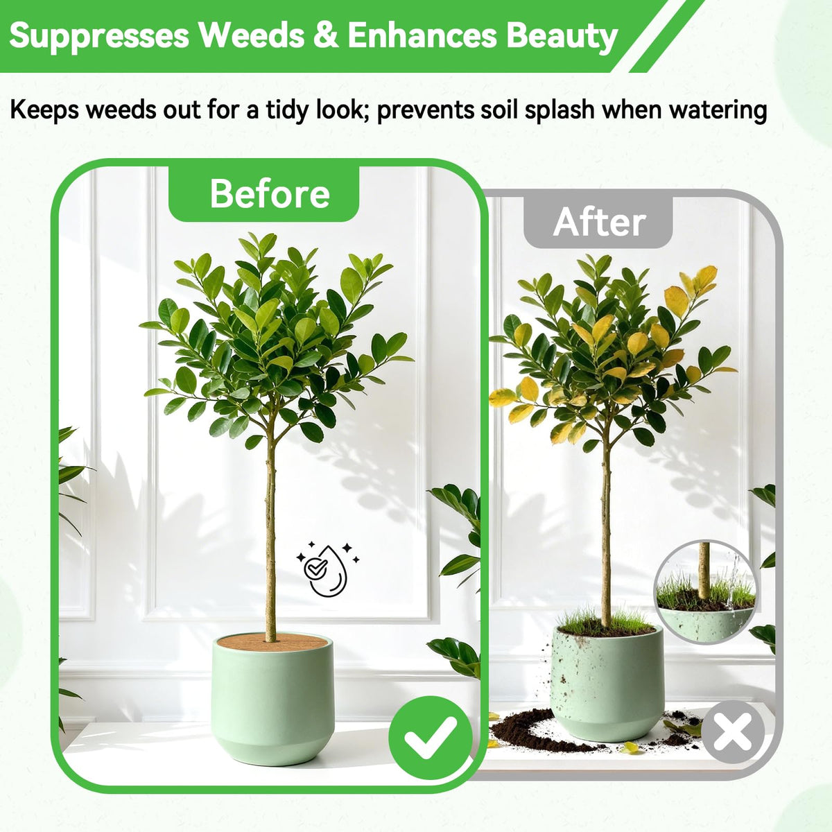 ZeeDix indoor-outdoor use ring suits balconies, patios and nurseries for neat plant displays