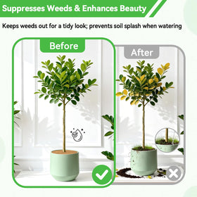 ZeeDix indoor-outdoor use ring suits balconies, patios and nurseries for neat plant displays