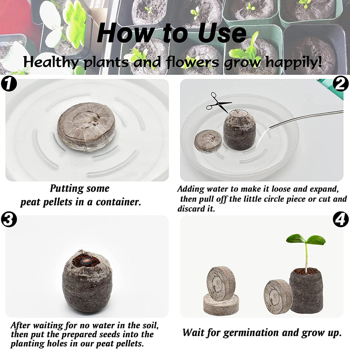 ZeeDix mesh-covered seedling pods simplify transport and reduce scattering.