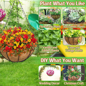 ZeeDix metal frame hanging basket showing rust-resistant finish