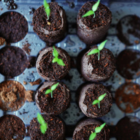 ZeeDix compact seed starter in net bag for small spaces