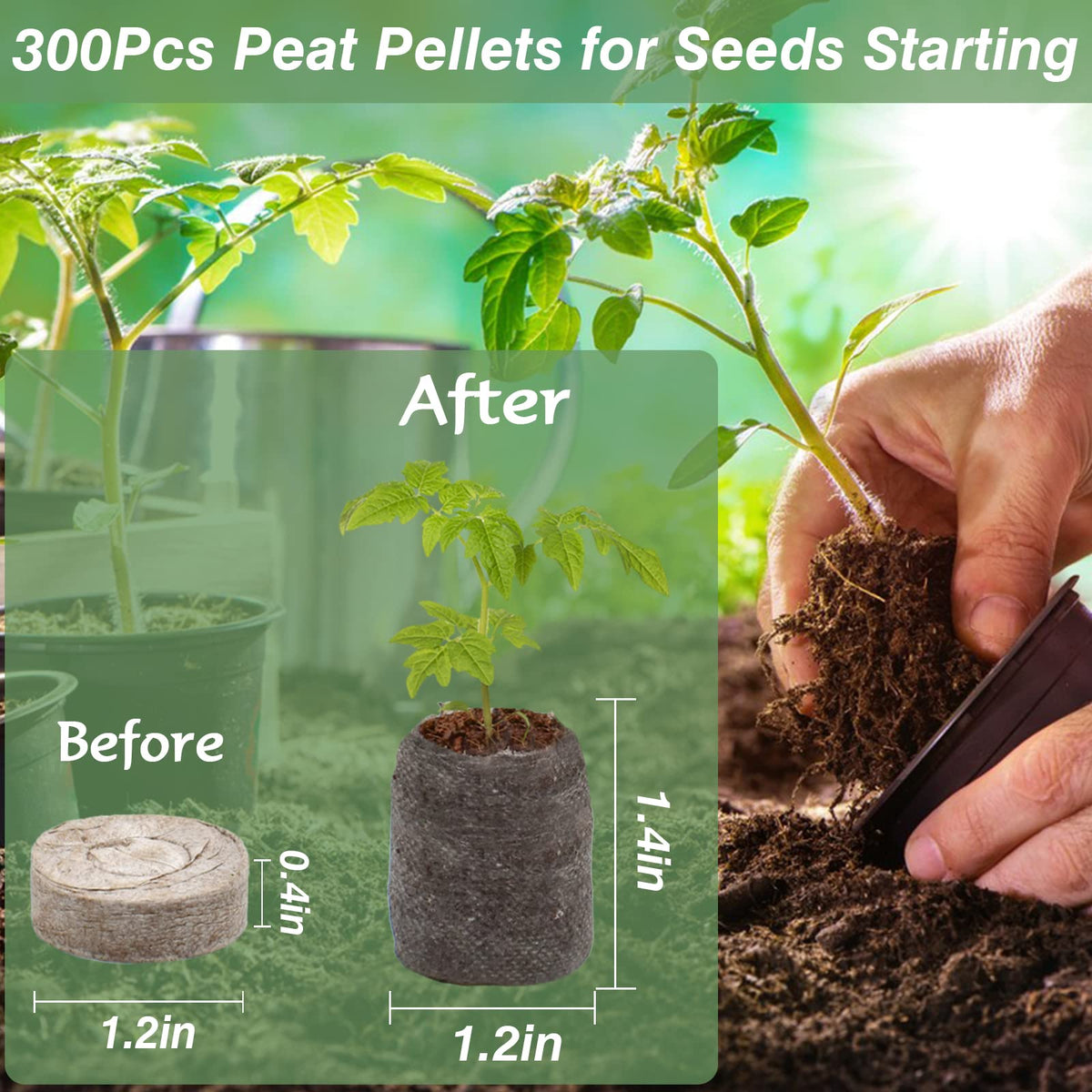 ZeeDix moss peat pellet 30mm supports gentle root growth.
