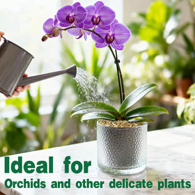 Zeedix moss for terrariums, reptiles and amphibians