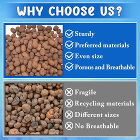 ZeeDix natural-color-variation pebbles enhanced decorative plant displays.