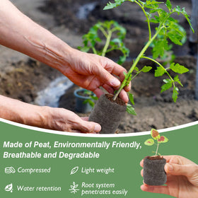 ZeeDix net-cover seed pod aids easy transport and transplant.