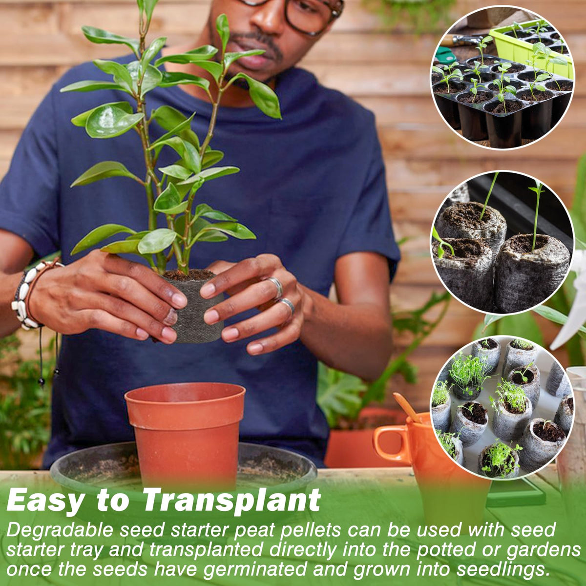 ZeeDix seed starter pellets ideal for vegetables, herbs, and flowers.