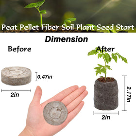 Zeedix pellets expanding when watered for easy transplant