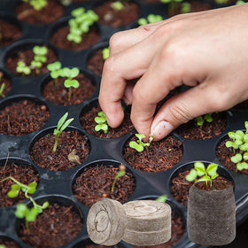 ZeeDix peat pellets suit vegetables, herbs, flowers, and more.