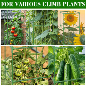 ZeeDix plant-safe design with smooth edges protects stems and roots.