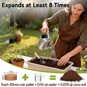 Pellets placed in pot for seed sowing with ZeeDix