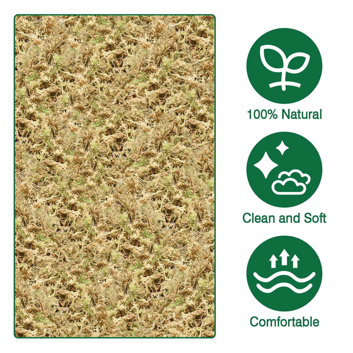 Zeedix pure undyed sphagnum moss as safe growing medium