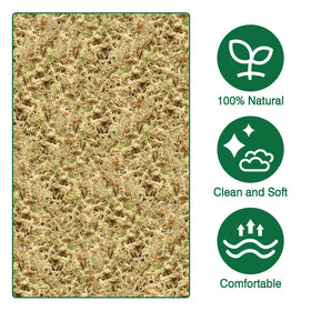 Zeedix pure undyed sphagnum moss as safe growing medium
