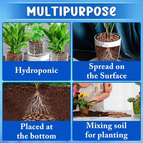 ZeeDix reusable-growing-media highlights eco-friendly, long-lasting cultivation solution.