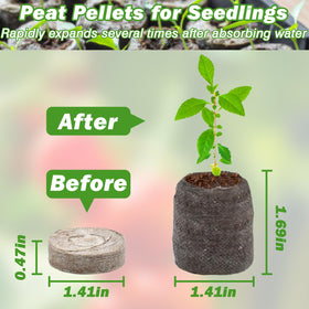 Expanded ZeeDix peat pellets after soaking show increased volume for roots