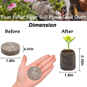 ZeeDix seed pellet expansion during watering enables quick root-friendly growth.
