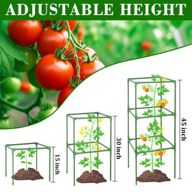 ZeeDix triangular-base offers reinforced stability for tall vines and plants.