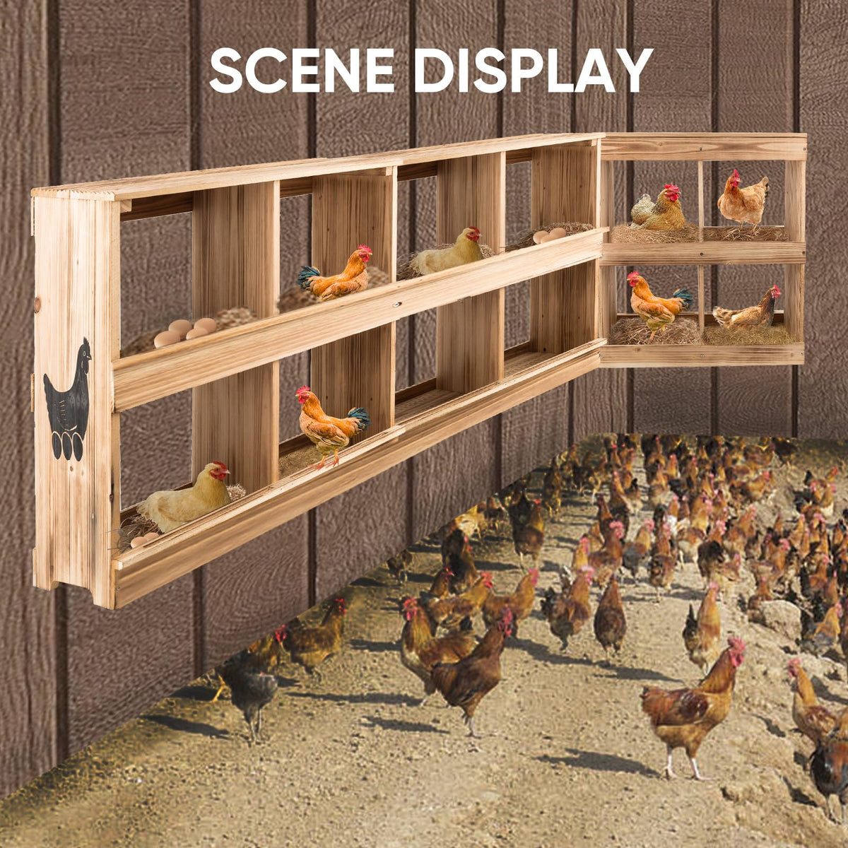 ZeenArt easy-install nesting box with included tools for quick setup.