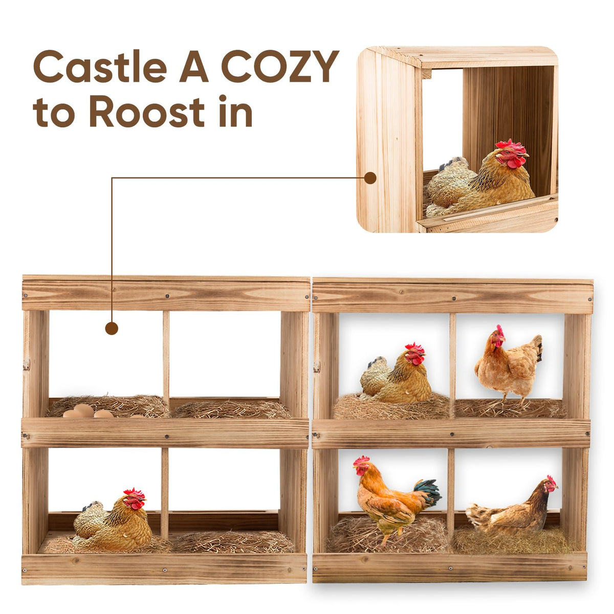 ZeenArt perches and baffles help keep eggs in place and safe.