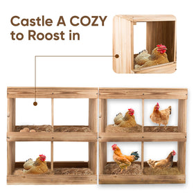 ZeenArt perches and baffles help keep eggs in place and safe.