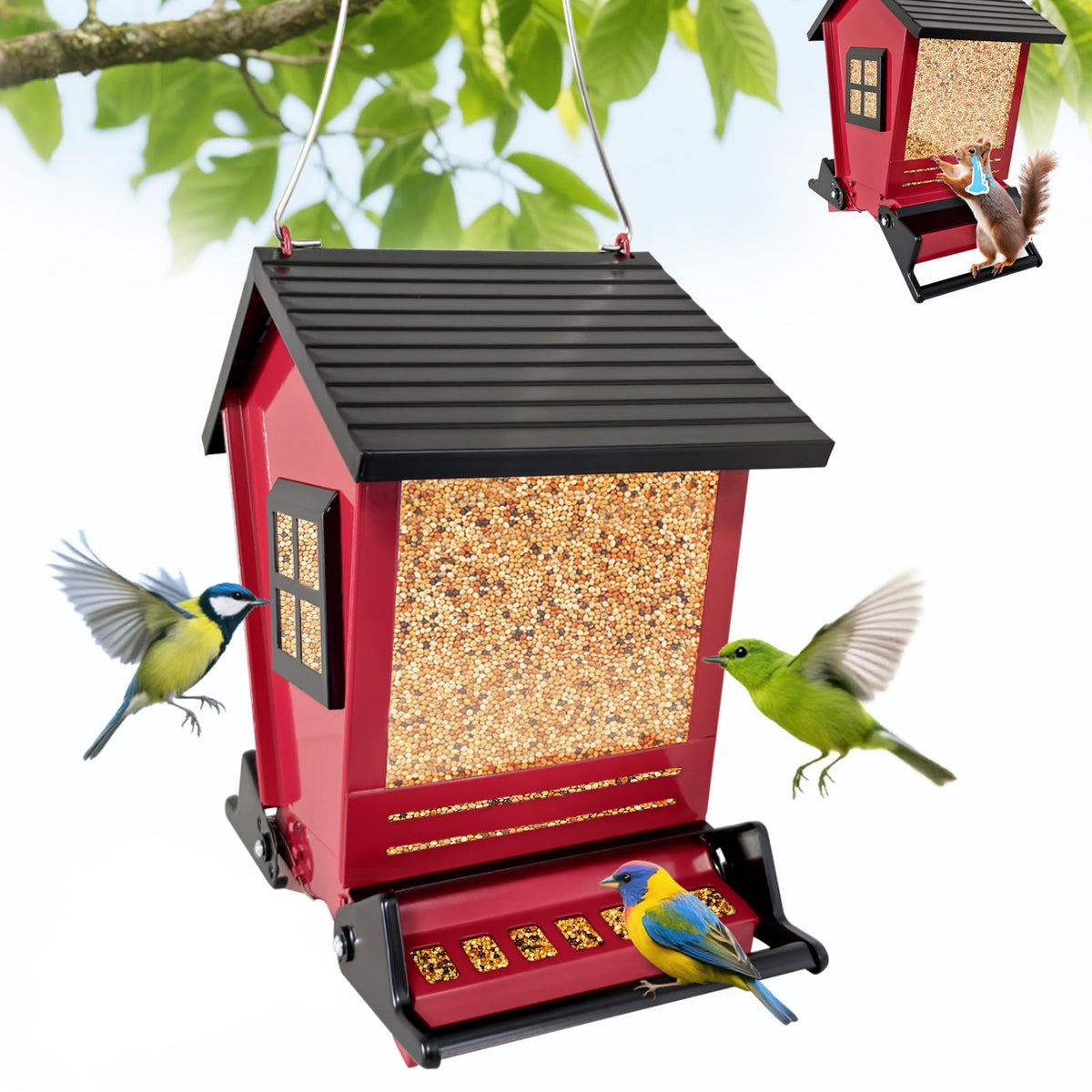 ZeHaiYlf squirrel proof bird feeder outdoors with 5lb capacity keeps seeds visible