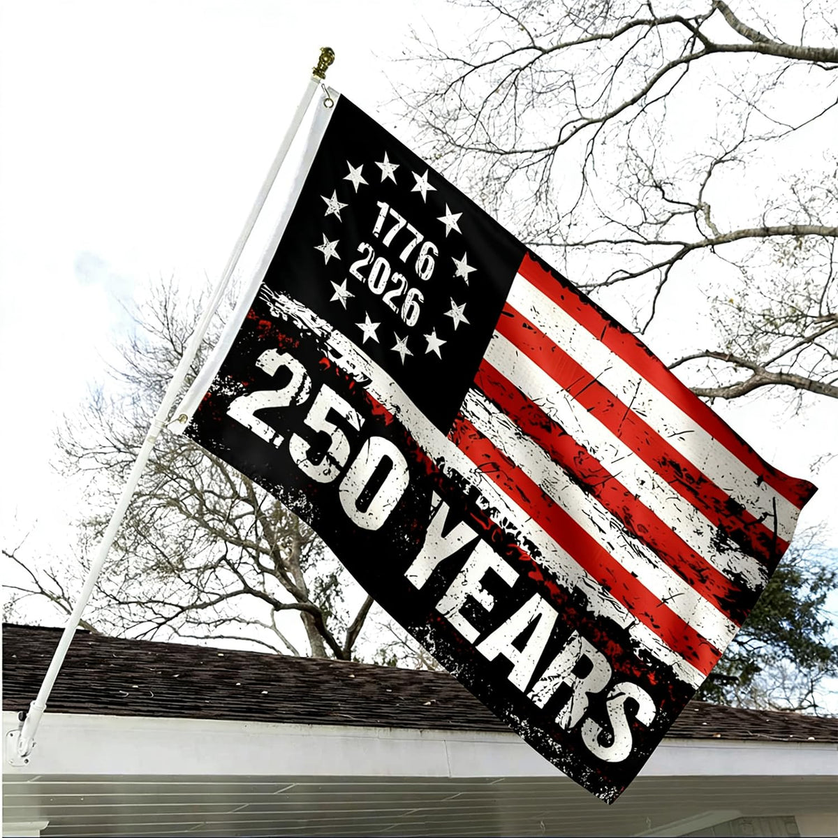 ZEKVY 250th anniversary flag back view, identical design on both sides.