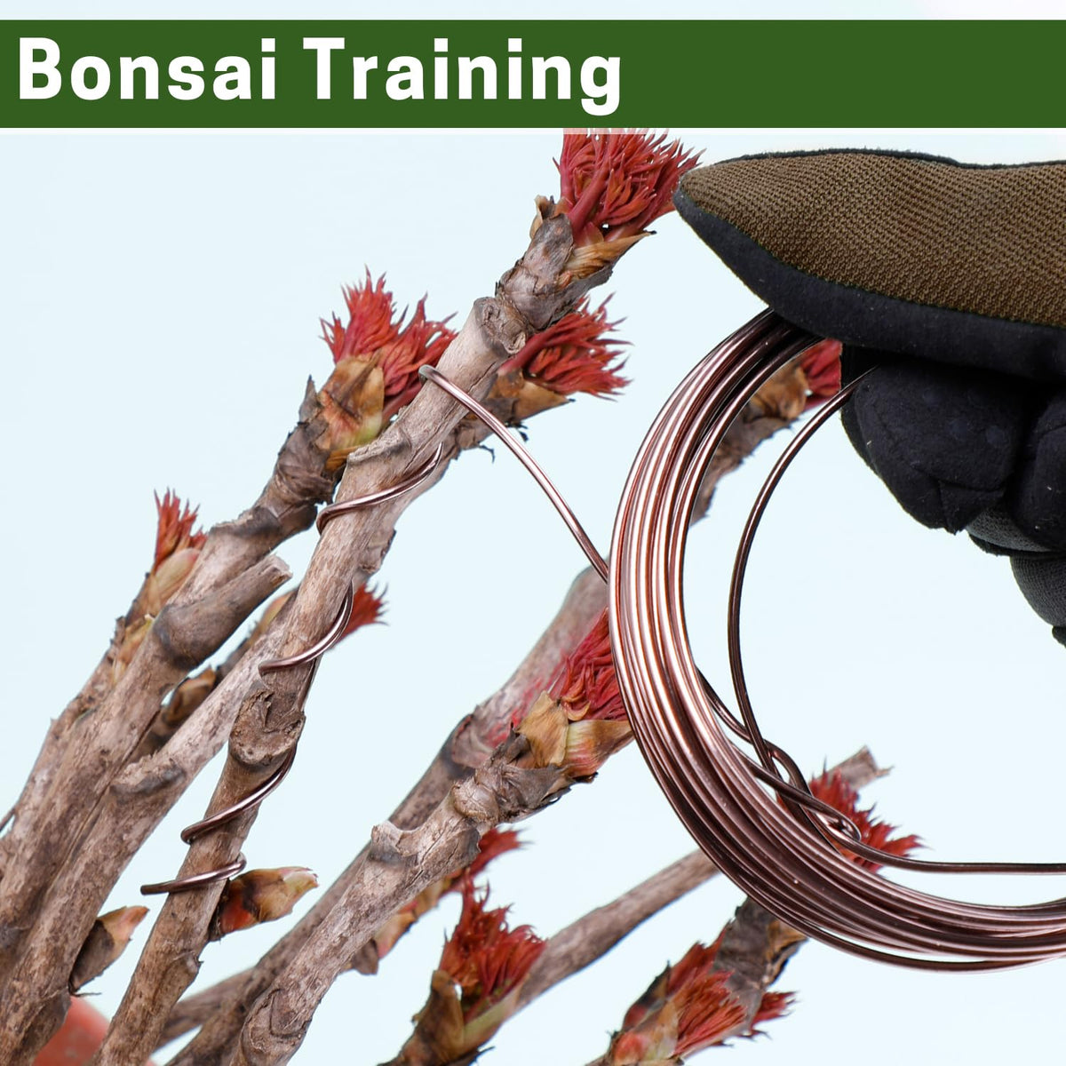 ZELARMAN bonsai wire black-green anodized finish blends with bark for discreet support