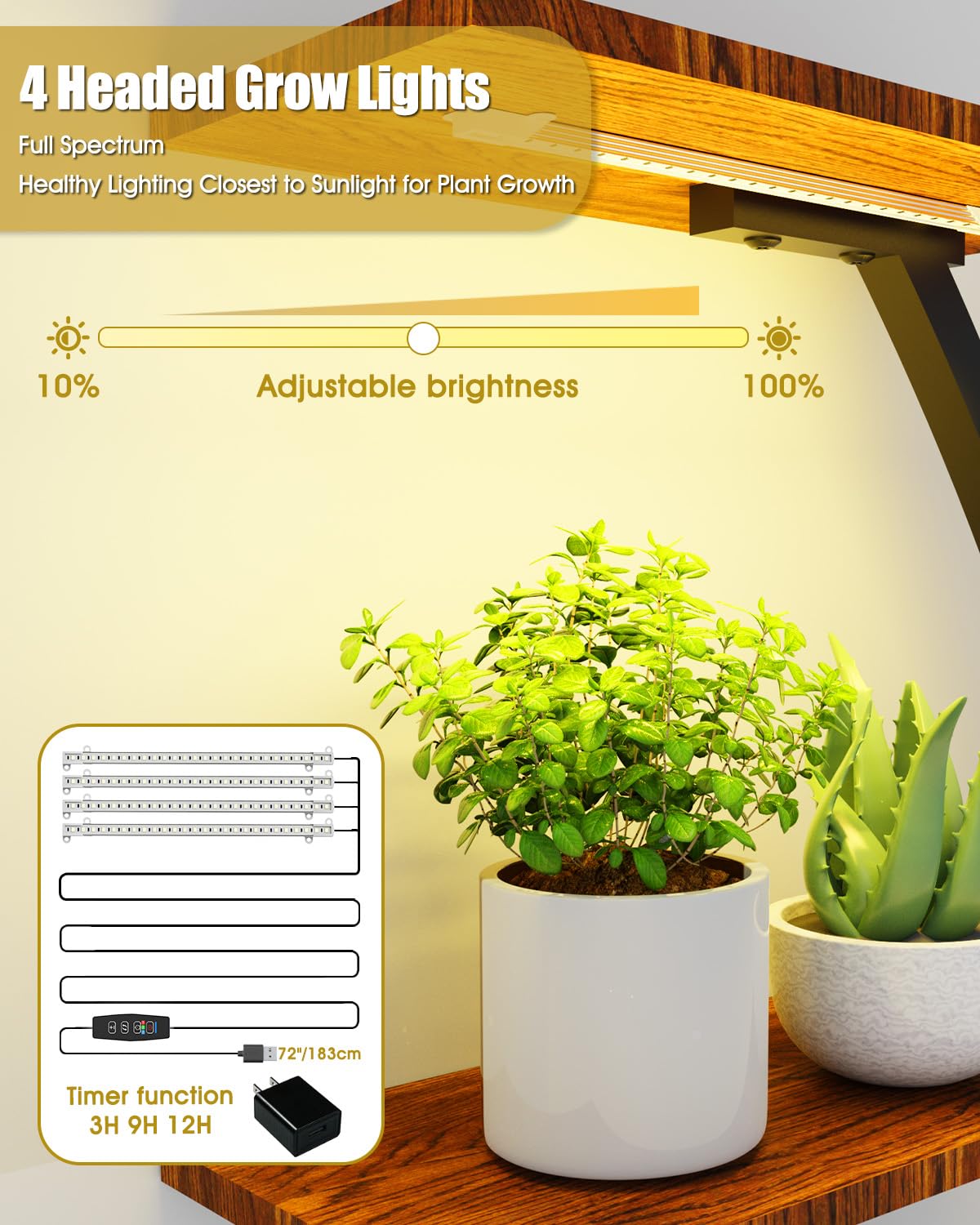 Zelvia multi-level pot holders maximize space for lush collections.
