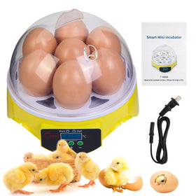 ZEMIRO CHARGE 7-Egg Incubator with 360-degree view for observing hatching progression.