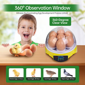 Automatic temperature control in ZEMIRO CHARGE for stable incubation warmth.