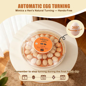 ZEMIRO CHARGE Serie II auto-turn every 2 hours for even embryo development.
