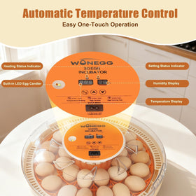 ZEMIRO CHARGE Serie II control panel and display for precise monitoring.