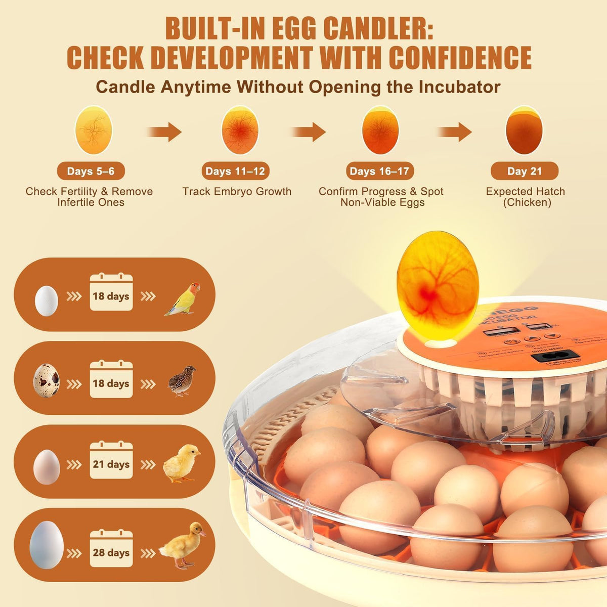 ZEMIRO CHARGE Serie II removable egg trays for quick cleaning between cycles.